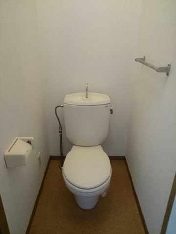 落ち着いた色調のトイレです