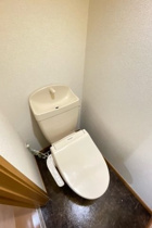 トイレもきれいです