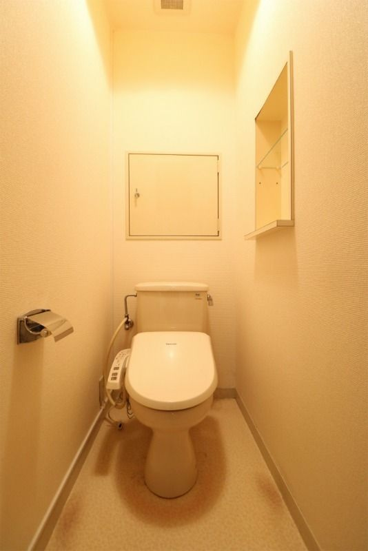スリム平野