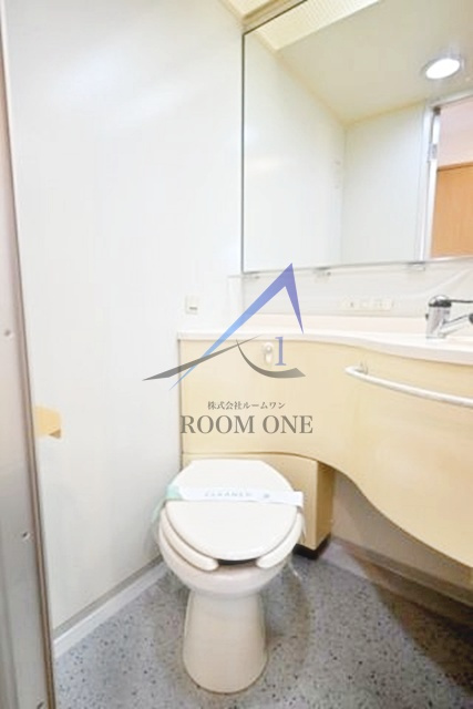 スカイコート新宿曙橋のトイレ|トイレです。