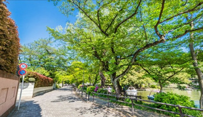 【周辺】 | 【現地見学会】練馬区高野台1丁目　建築条件付き売地　B区画 5890万円　 | 都立石神井公園