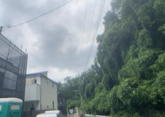 【展望】 | 桜や紅葉の名所に出かける人は多いと思いますが、家にいながら季節の移ろいを感じる生活を送りませんか？リビングや窓から見える景色が生活を彩るワンポイントに！現地から見える景色を堪能してみては如何でしょう。
