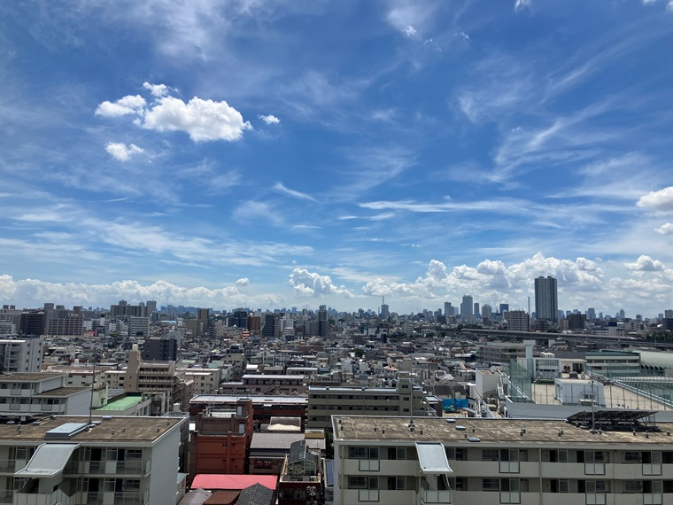 シティテラス赤羽　ＴＨＥ　ＥＡＳＴの展望