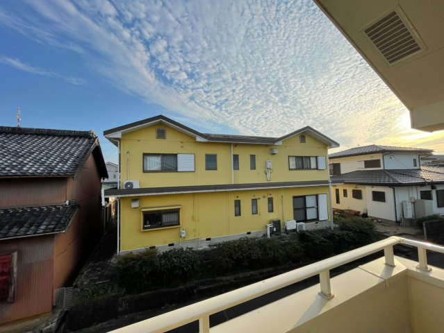 大樹の展望