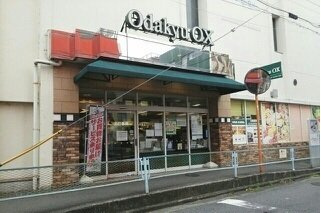 ヒッツヴィルの周辺|odakyu oxまで540m