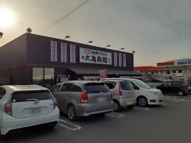 ソーレ　フジ　Ⅱの周辺|丸亀製麺新居浜店様まで650m