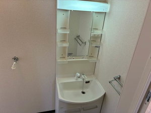 サンメゾンくすの木Cの洗面所