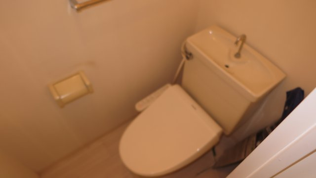 リッチライフダイコクのトイレ