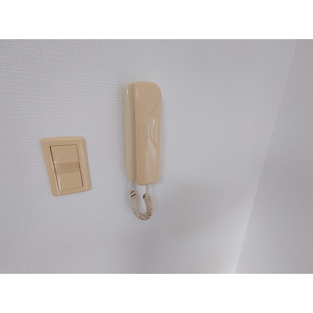 サーパスデイのその他