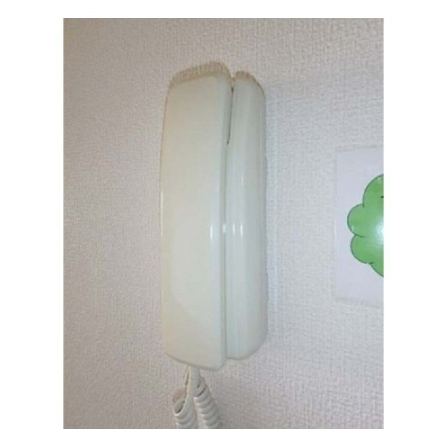 エテルノのその他