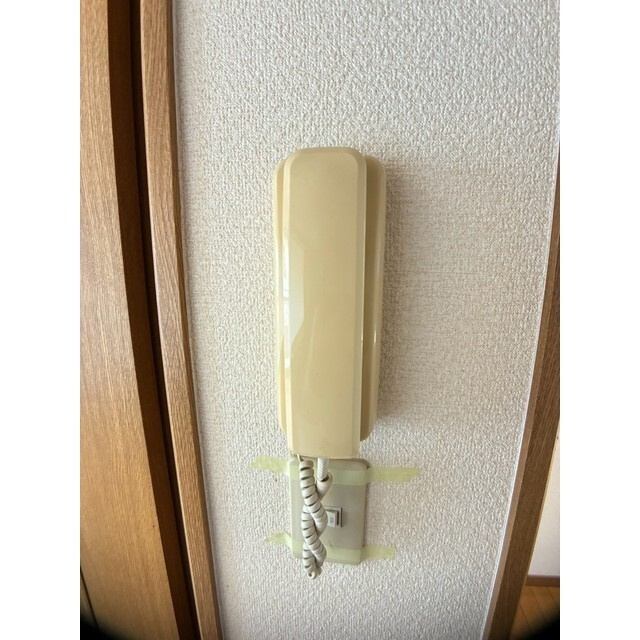 Ｓｅｅｄ　Ｌｅａｆ　Ｍ’ｓのその他