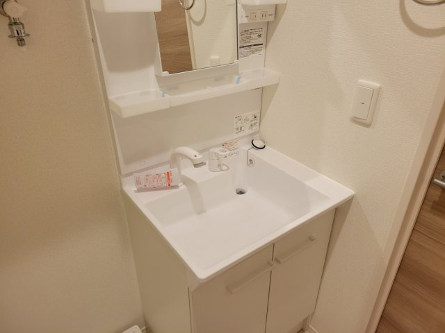 エスペランサ西新町の洗面所