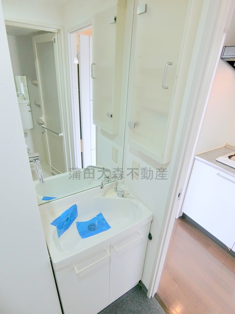 ソアブール池上の洗面所|洗面所　独立洗面台