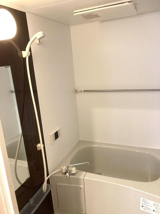 Ｄ－ｒｏｏｍ蓮根の浴室