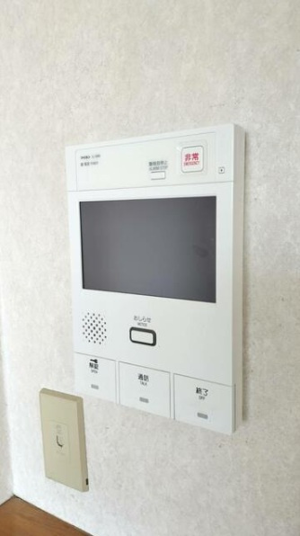 ダイアパレスビッグウィング深谷の防犯設備