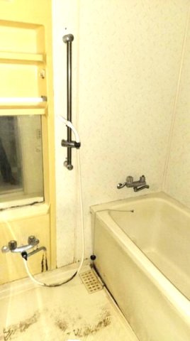 ダイアパレスビッグウィング深谷の浴室
