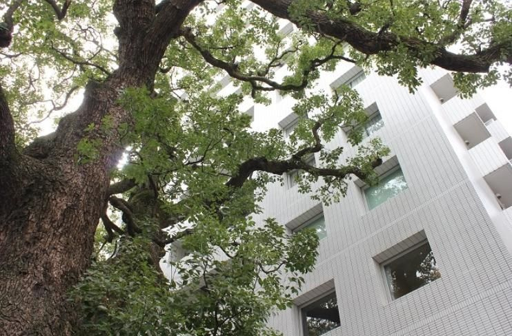 文京区本郷１丁目の賃貸マンションのその他
