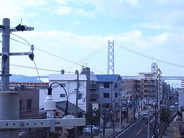 アロハ海岸通の展望