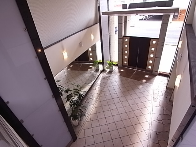 アロハ海岸通のその他