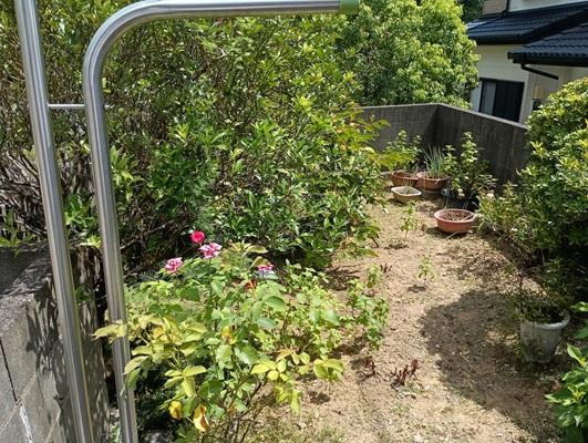 高知市万々　中古戸建ての庭