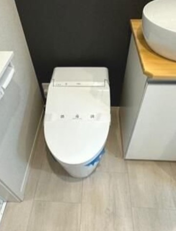 グランズ沢渡のトイレ