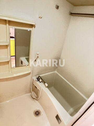 プレサンス城北公園アクアージュの浴室