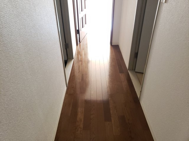 サンドリーム25の内装