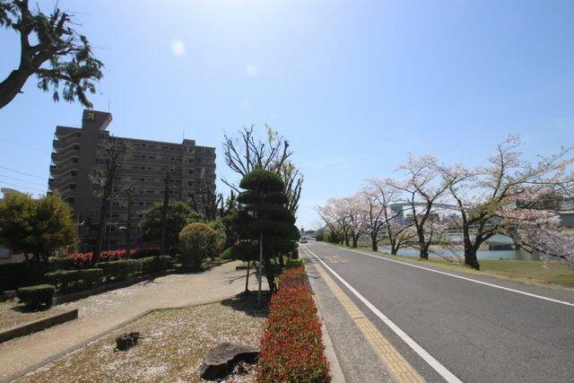 岡山市中区小橋町１丁目の中古マンションのその他|☆外観写真☆