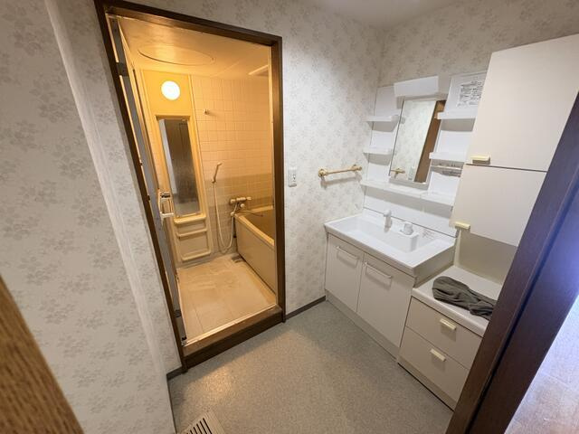 岡山市中区原尾島１丁目の中古マンションの独立洗面台