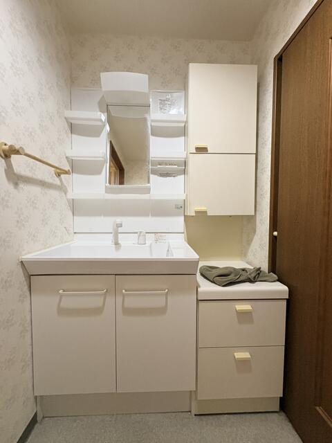 岡山市中区原尾島１丁目の中古マンションの独立洗面台