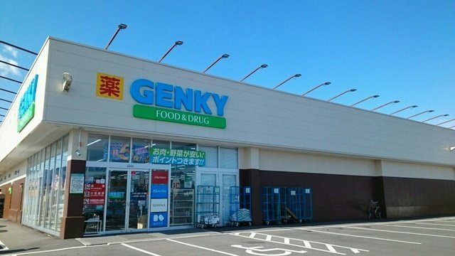 ロジュマン１の周辺|ゲンキー大垣インター南店まで1240m