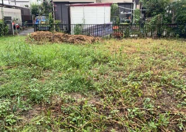 【外観】 | 人が暮らすうえで日光は大切な要素となります。日当たりの良さは譲れないポイントですね。併せて近くに大きな建築物の建築予定がないか、あるいはそれが可能な土地が近くにないか事前に確認することもお勧めします。
