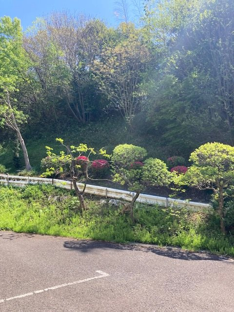 グローリーハイツ の展望