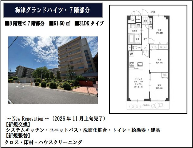 梅津グランドハイツの間取り