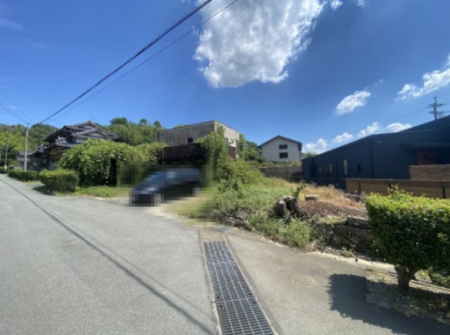 山鹿市杉の画像