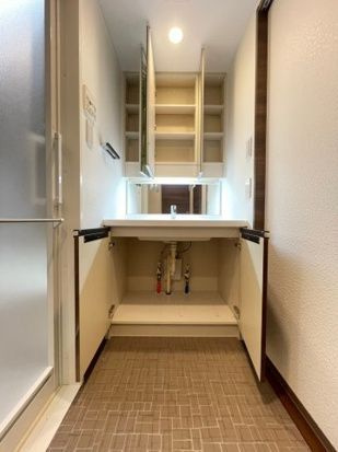 DIPS墨田RIVERSIDEの洗面所