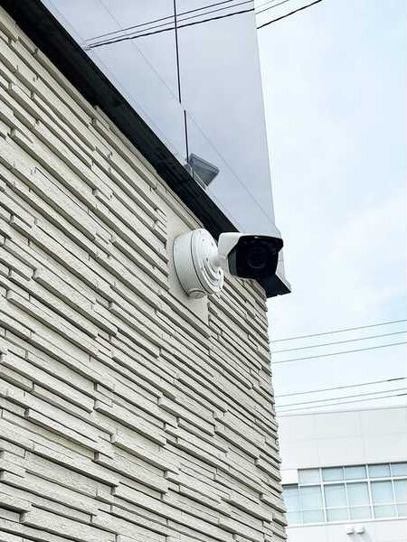 S-RESIDENCE堀田駅前のセキュリティ