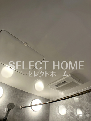  | ＢＬＯＯＭＩＮＧ　ＭＡＩＳＯＮ岡崎市若松町大廻