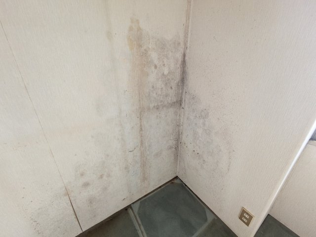 北本ハイデンス1号棟の洋室