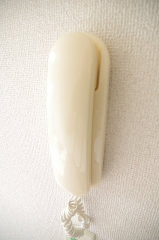 レオパレスシャルマン北越谷のセキュリティ