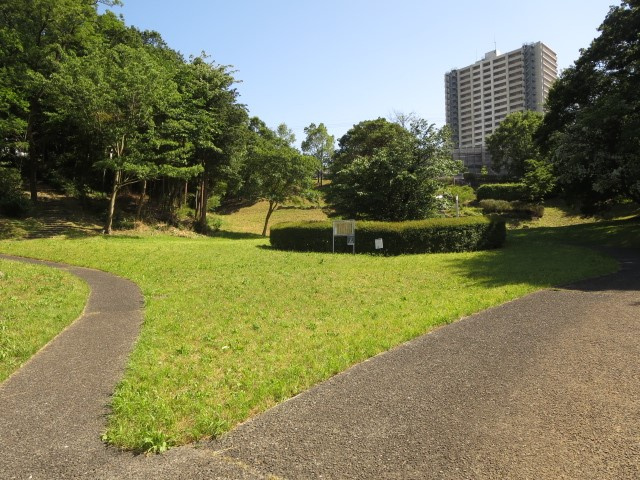 の-の画像