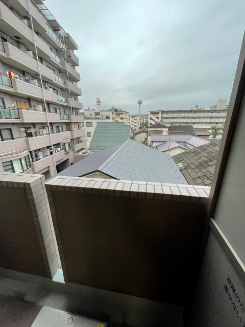 ルーブル大島の展望