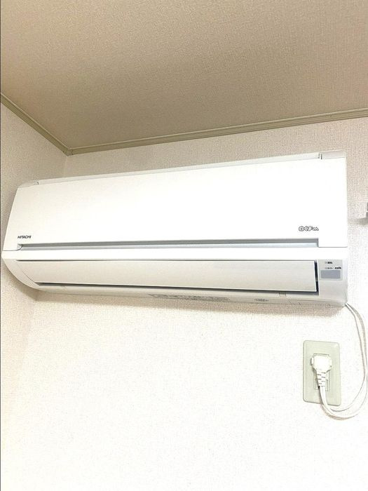 ウィルモア大江の設備
