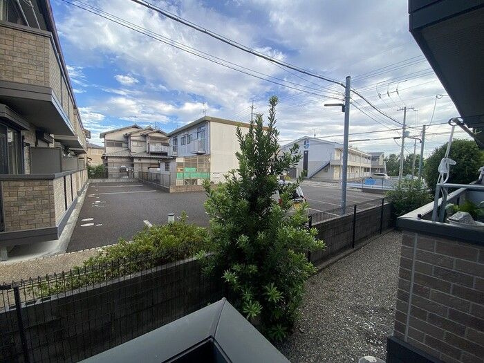 ウィルモア大江の展望