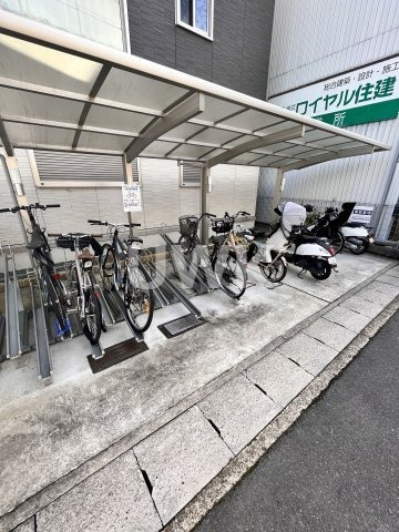 ヴィクトワールカナガサキのその他