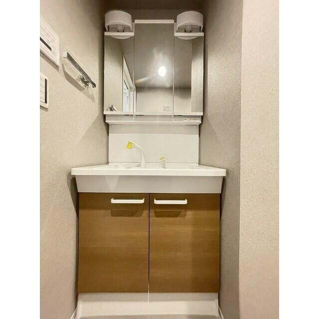 デュオメゾン池袋オヴェストの洗面所