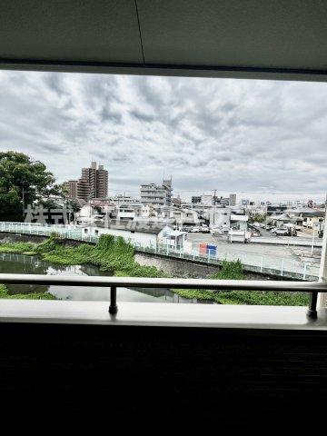 クリサンテーム トキの展望