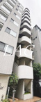 リバーサイドオオハシの画像