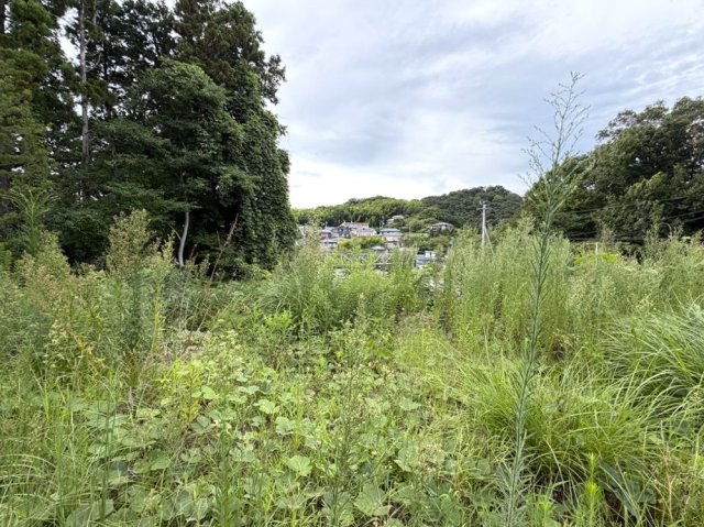 川奈駅徒歩5分　暮らしやすい環境の土地の外観