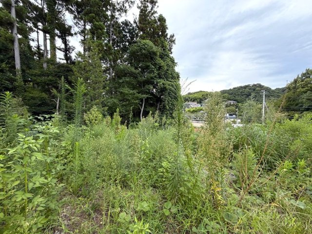 川奈駅徒歩5分　暮らしやすい環境の土地の外観